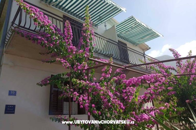 Dom Miošić Apartmány  – foto 4