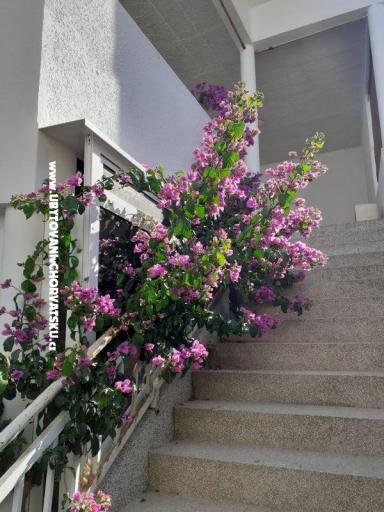 Izby Katja Gradac center – foto 18