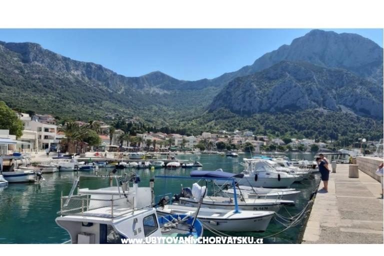 Villa Ivanka – foto 18