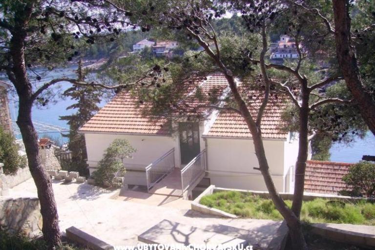 Apartmány Vila Ivo – foto 8