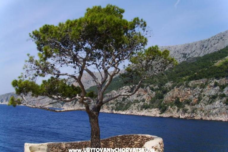 Apartmány Anja – foto 7