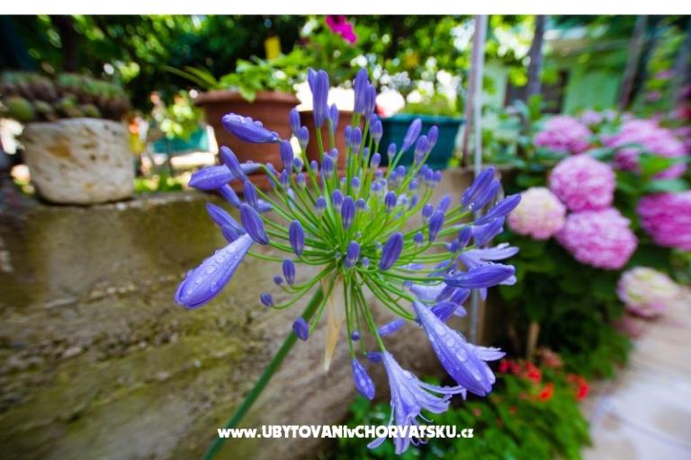 Apartmány Bartul – foto 16