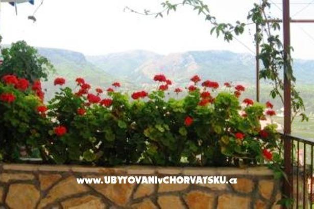 Apartmány Jelsa-Hvar – foto 8