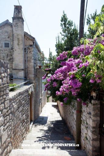 apartman Marina Hvar – foto 7
