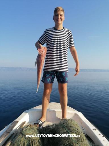 Apartmány Natali – foto 7