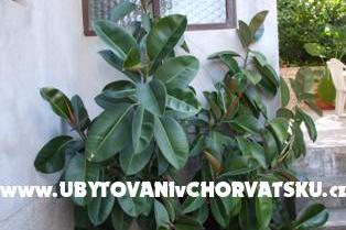 Apartmány Račić – foto 7