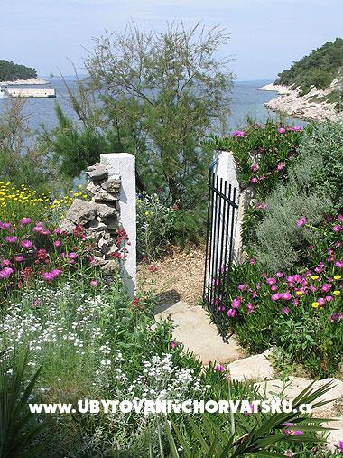 Apartmán Stiniva – foto 4