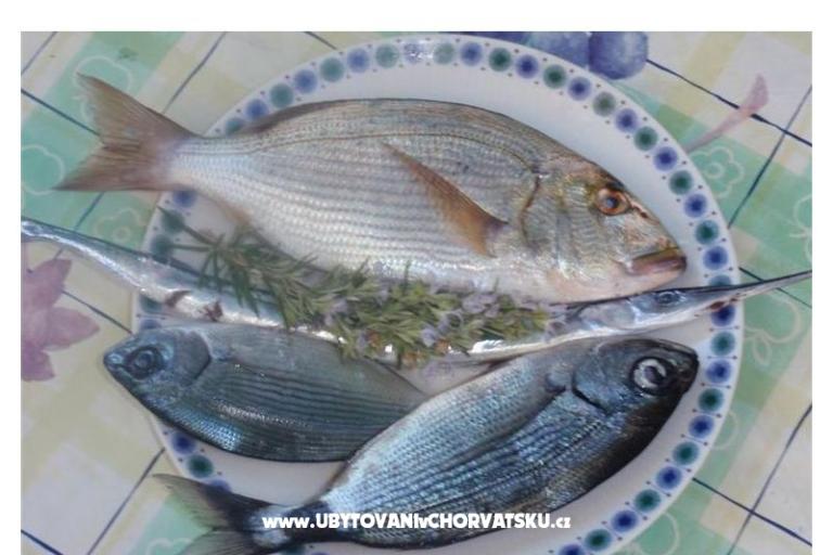 Apartmány Bogović – foto 15