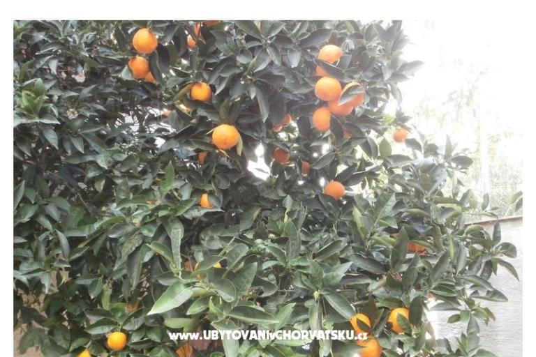 Apartmány Bogović – foto 18