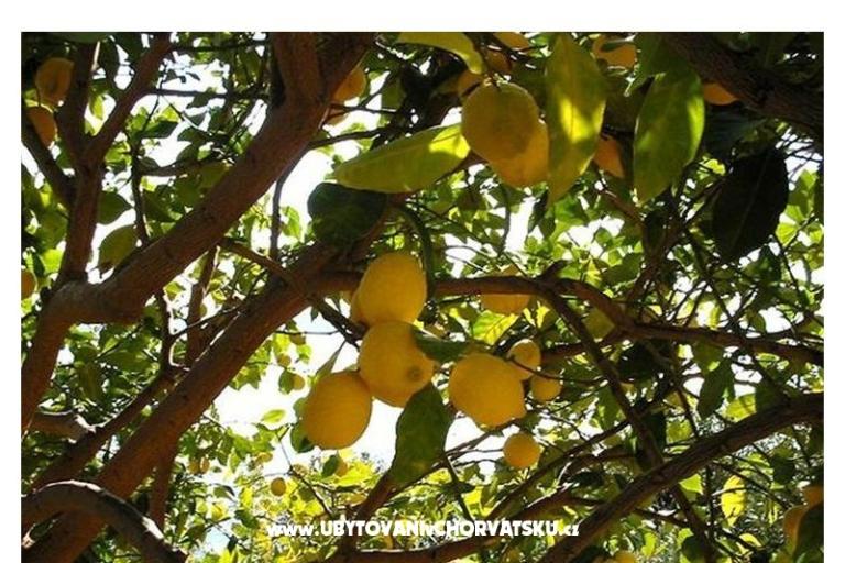 Apartmány Bogović – foto 19