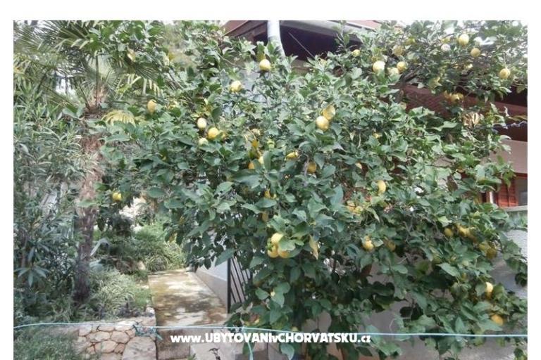 Apartmány Bogović – foto 20