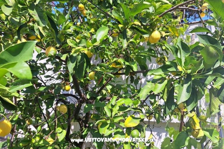 Apartmány Bogović – foto 26