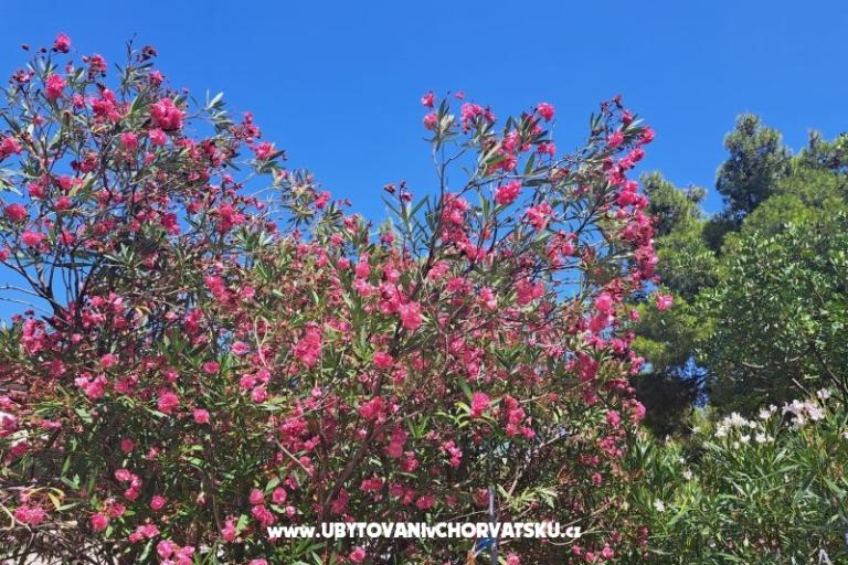 Apartmány Bogović – foto 27