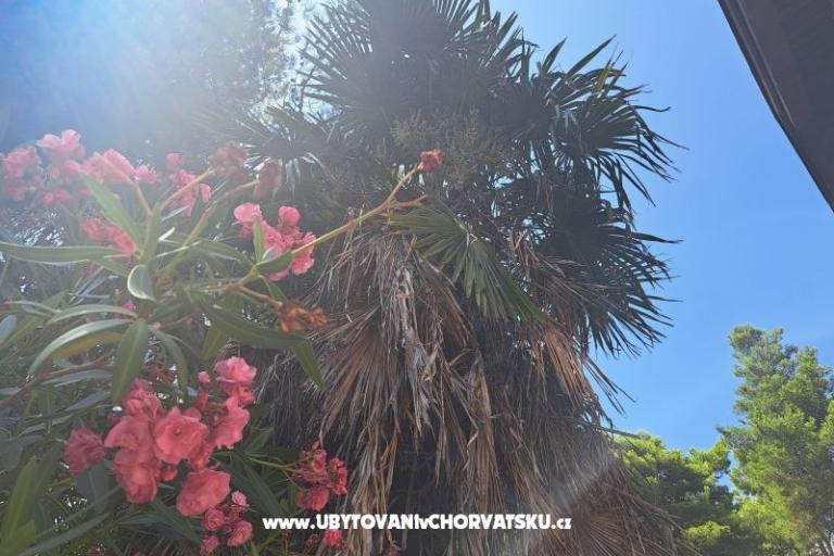 Apartmány Bogović – foto 28