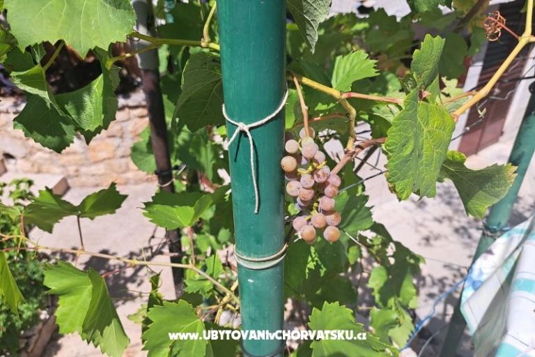 Apartmány Bogović – foto 29