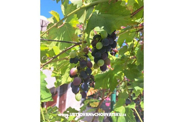 Apartmány Bogović – foto 30