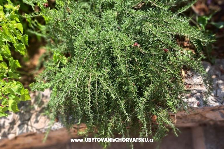 Apartmány Bogović – foto 31