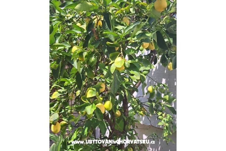 Apartmány Bogović – foto 33