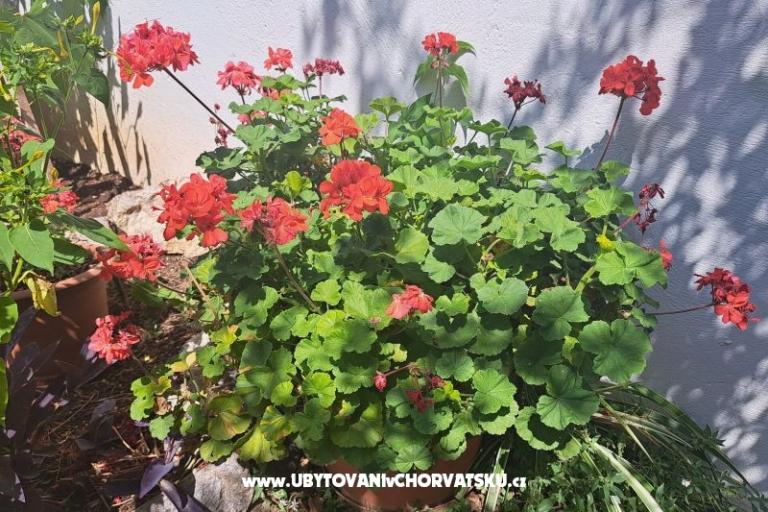 Apartmány Bogović – foto 35