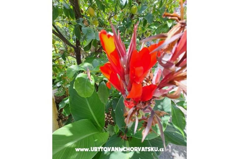 Apartmány Bogović – foto 37