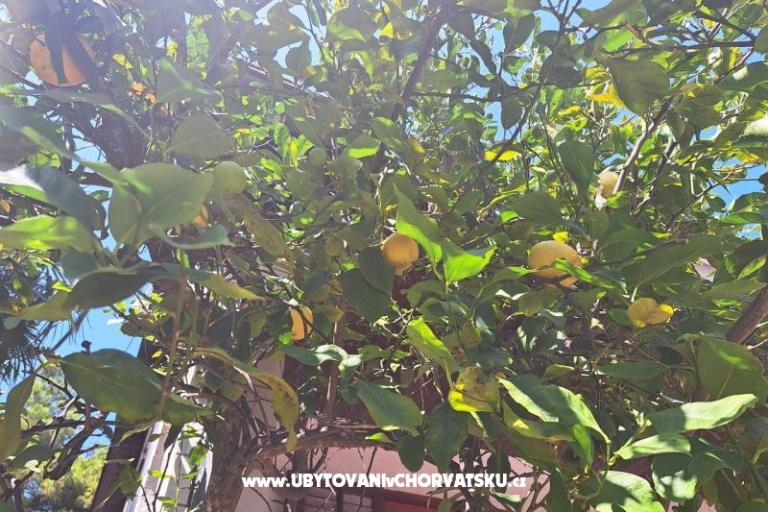 Apartmány Bogović – foto 38