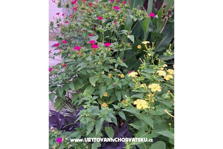 Apartmány Bogović – foto 40