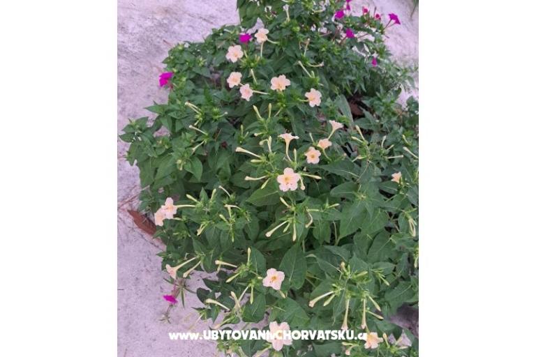 Apartmány Bogović – foto 41