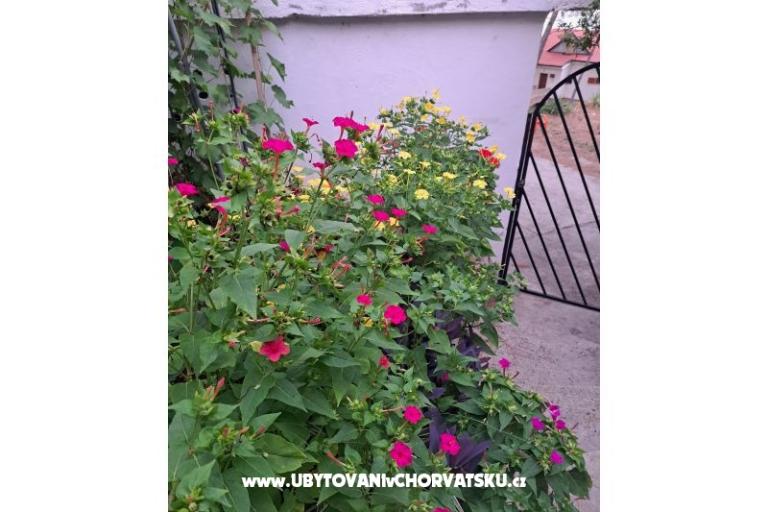 Apartmány Bogović – foto 42