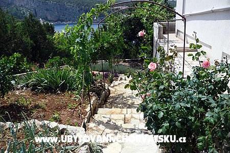 Apartmány Boni – foto 3