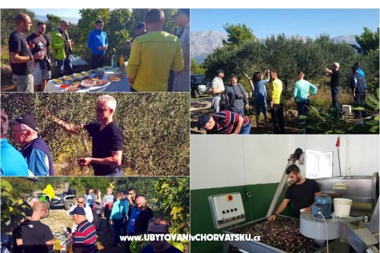 Jadranka Franičević – foto 18