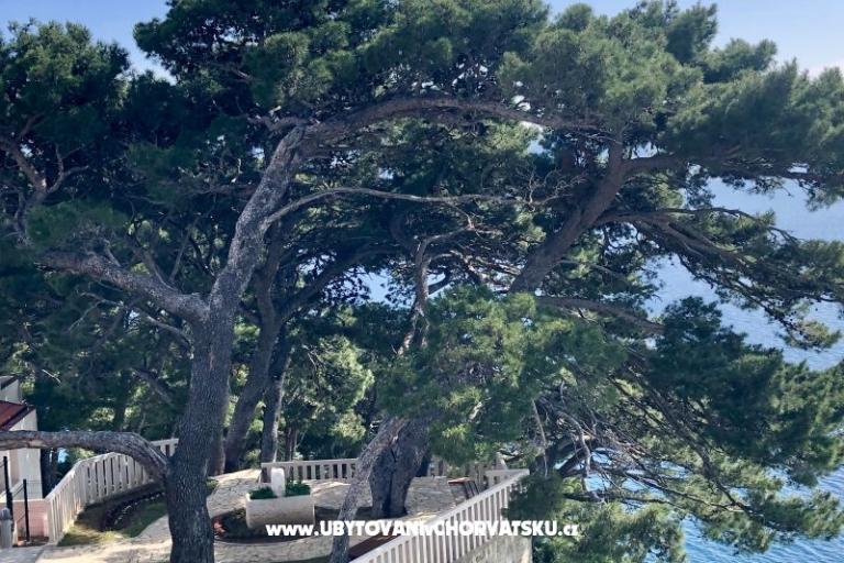 Apartmány  Ines – foto 7