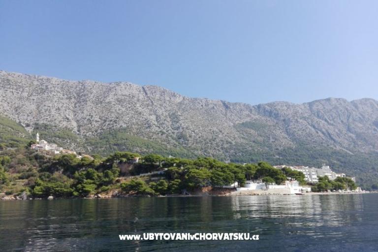 Apartmány Ribica 1 – foto 9
