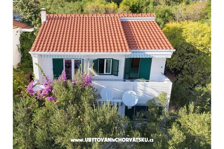 Villa Maslina – foto 9