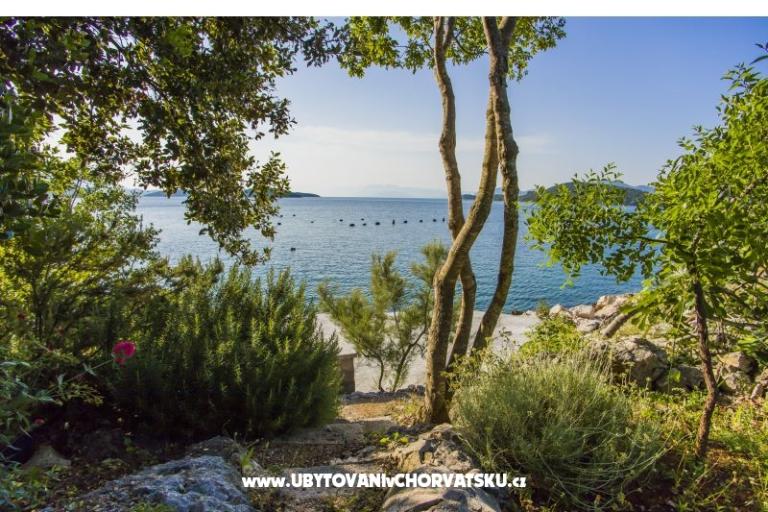 Apartmány Marijana – foto 17