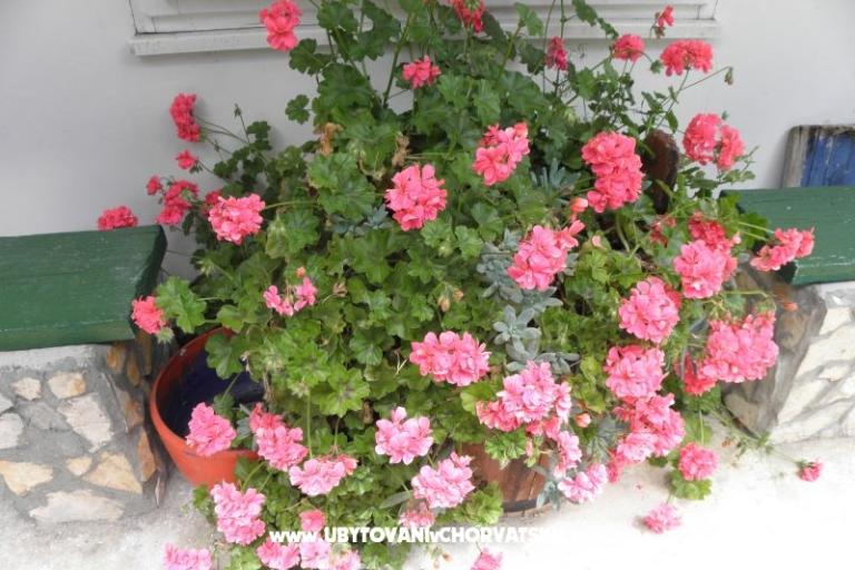 Apartmány Šime Pelješac – foto 14