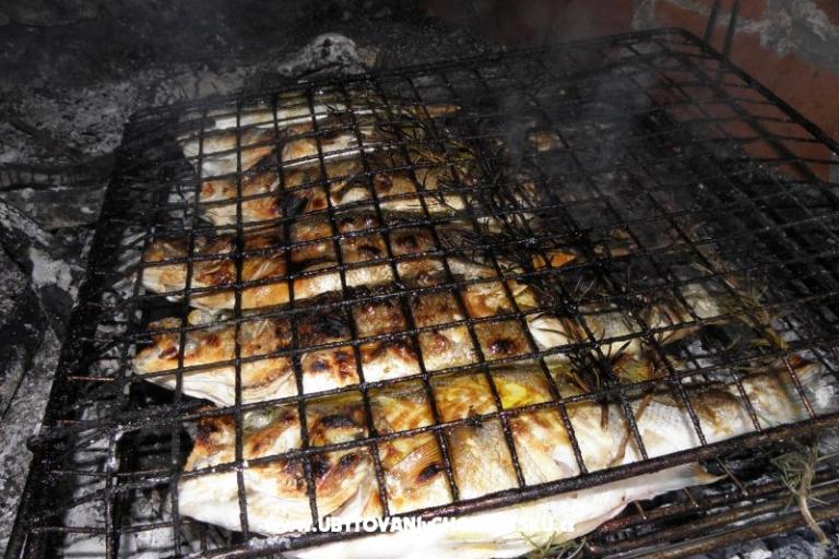 Apartmány Šime Pelješac – foto 16