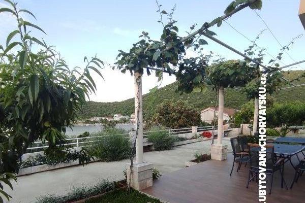 Ted Apartmány – foto 10