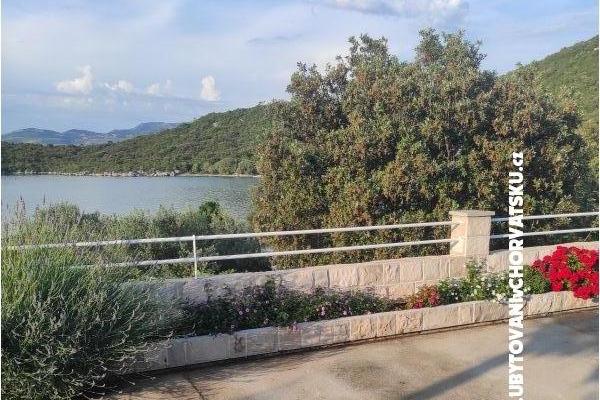 Ted Apartmány – foto 11