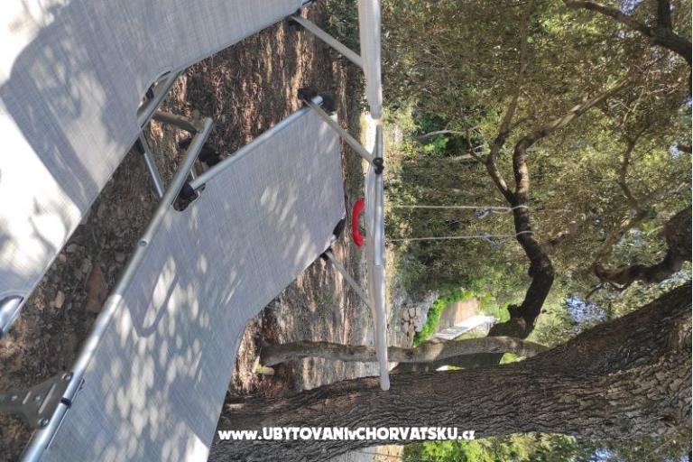 Ted Apartmány – foto 13