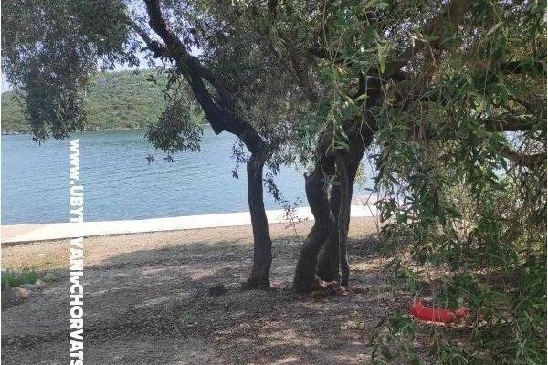 Ted Apartmány – foto 14