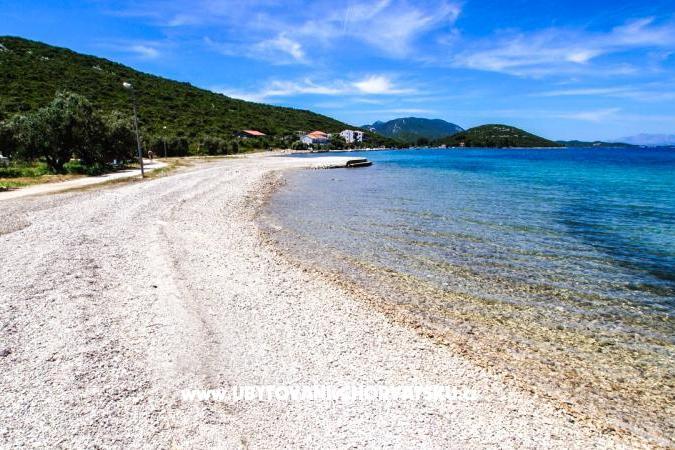 Ted Apartmány – foto 7