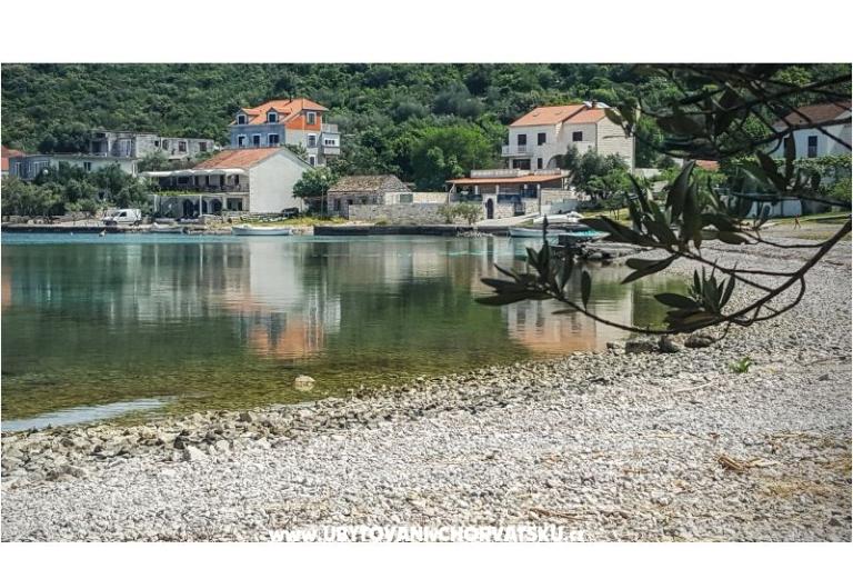 Ted Apartmány – foto 8