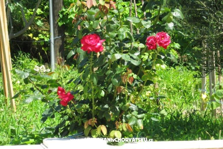 Apartmány Božana – foto 6