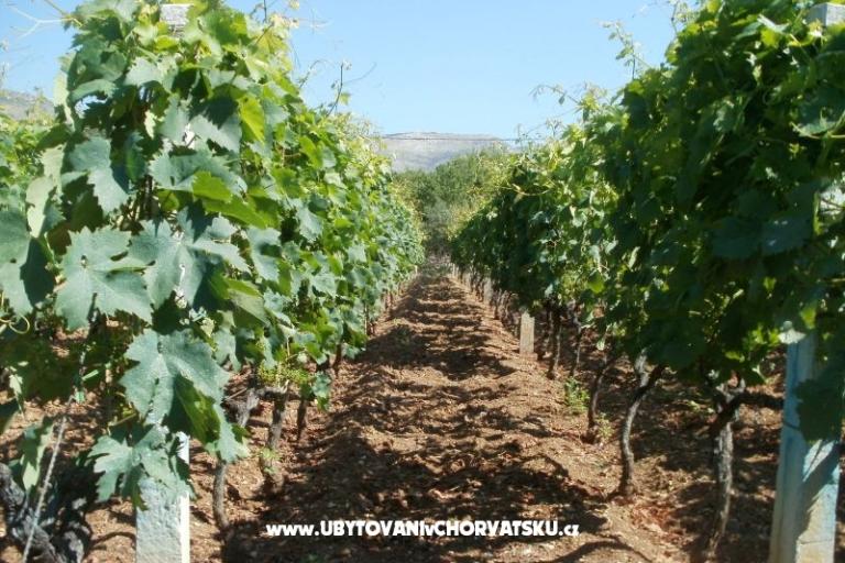 Apartmány Grgin – foto 13