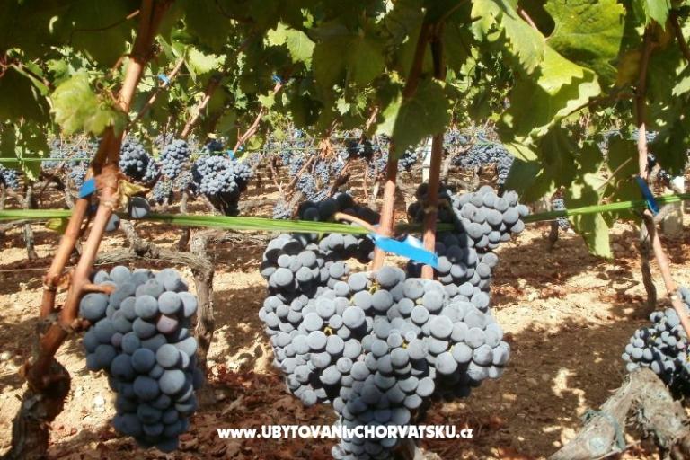 Apartmány Grgin – foto 14