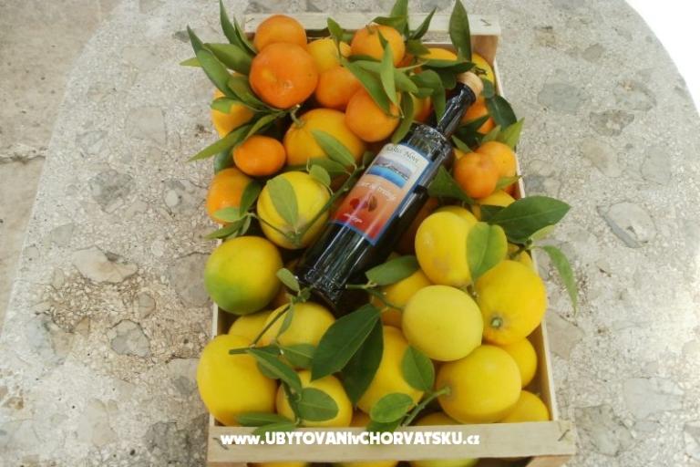 Apartmány Grgin – foto 16