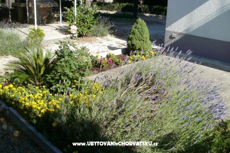 Apartmány Grgin – foto 5