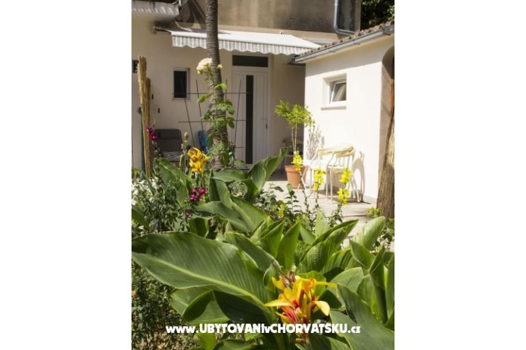 Apartmány Bugenvilla – foto 11