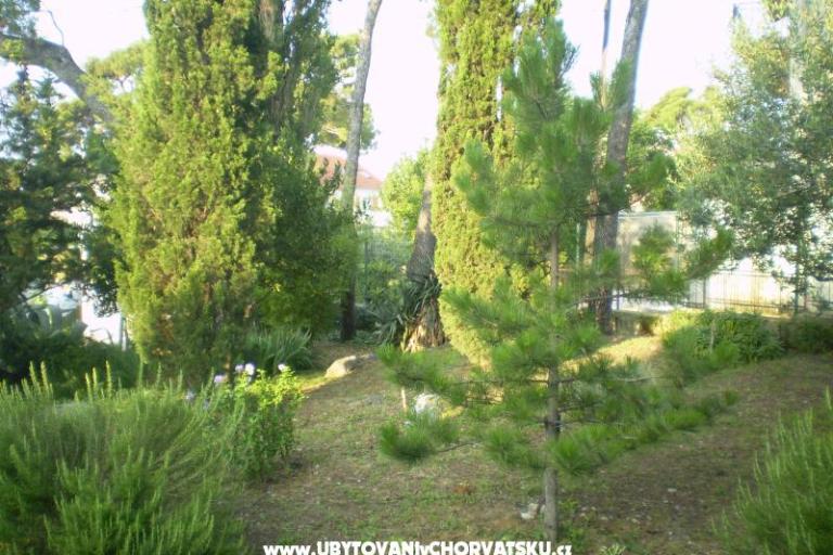 Apartmány Grgin – foto 11