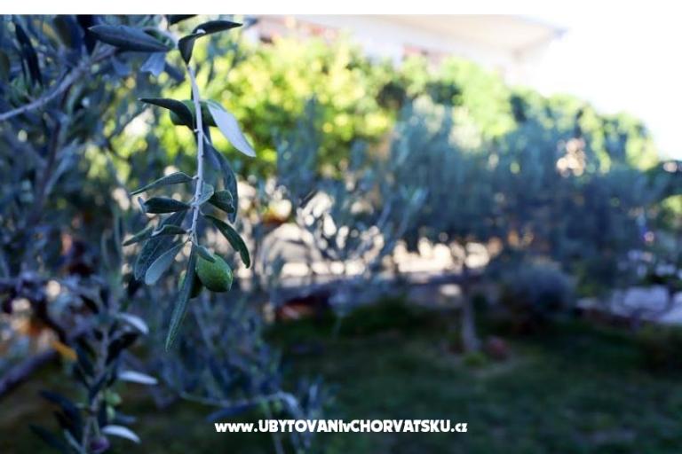 Stone Sun – foto 16